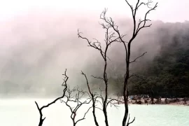 Kawah Putih Destinasi Wisata Keren Di Kota Bandung