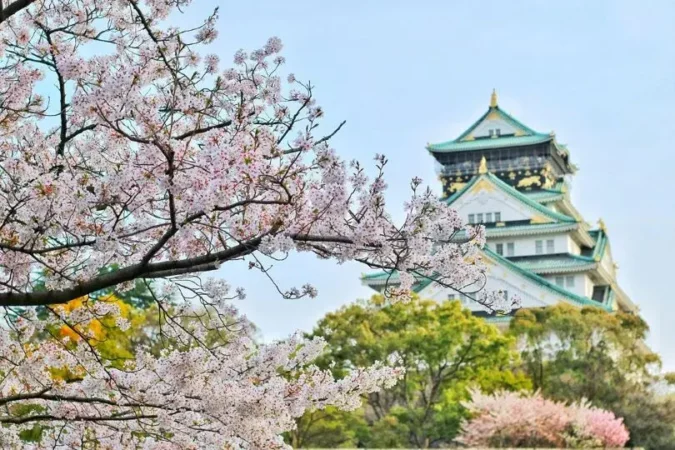 5 Tempat Wisata di Jepang yang Wajib Kamu Kunjungi
