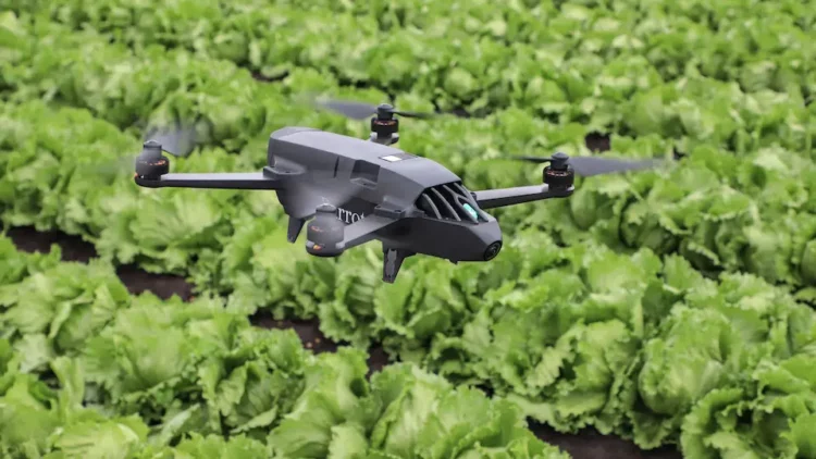 5 Rekomendasi Drone untuk Pertanian parrot-bluegrass-fields-av3