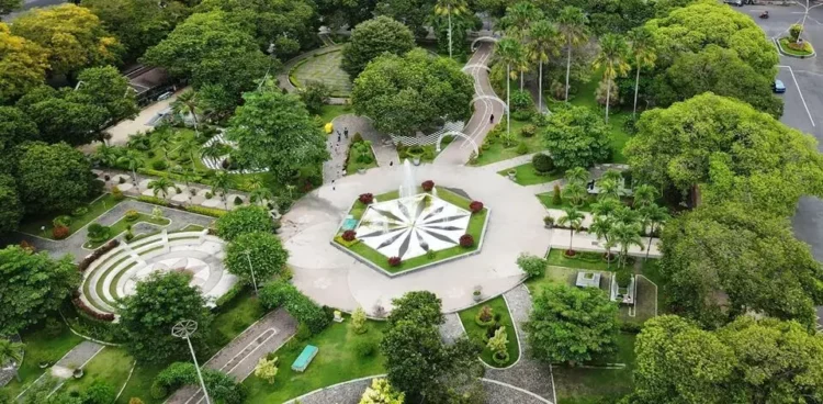 Manfaat dan Inspirasi Membuat Landscape Taman Kantor dengan Pohon Besar