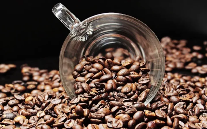 Tips Memilih Bahan Baku untuk Bisnis Minuman